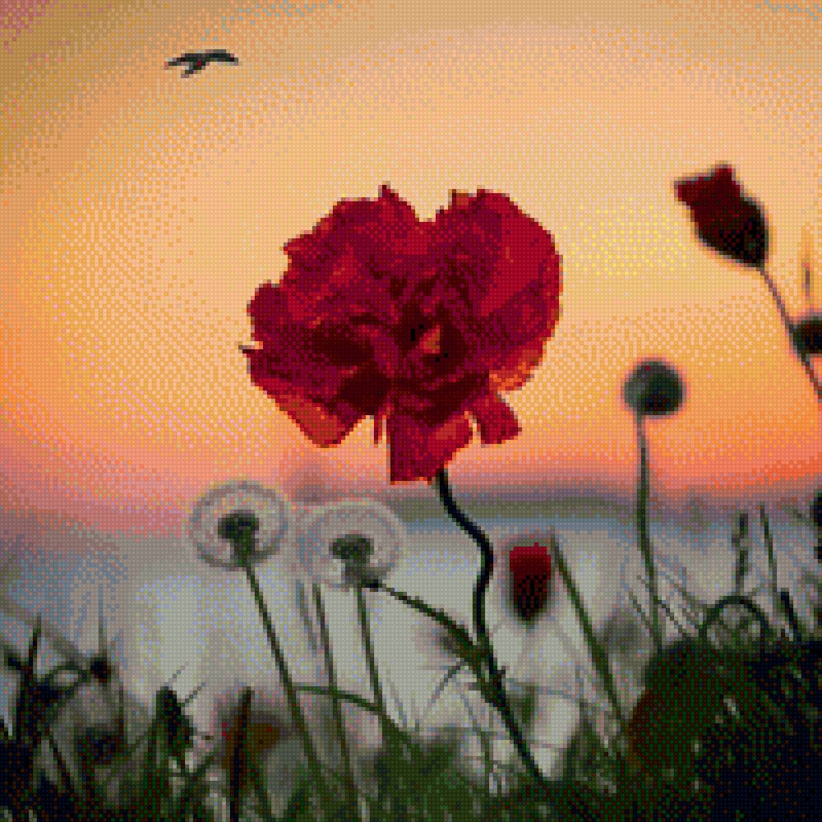 Мак на закате 2 - маки - предпросмотр