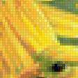Предпросмотр схемы вышивки «Подсолнухи» (№2078546)