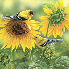 Схема вышивки «Подсолнухи»