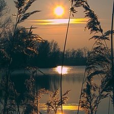 Схема вышивки «№2078687»