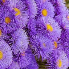 Схема вышивки «цветы»