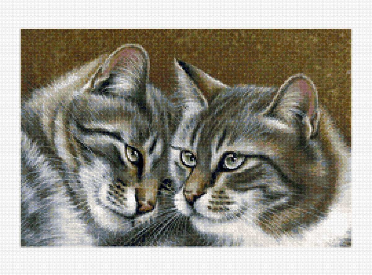 Родственные котики - кошки, животные, коты - предпросмотр