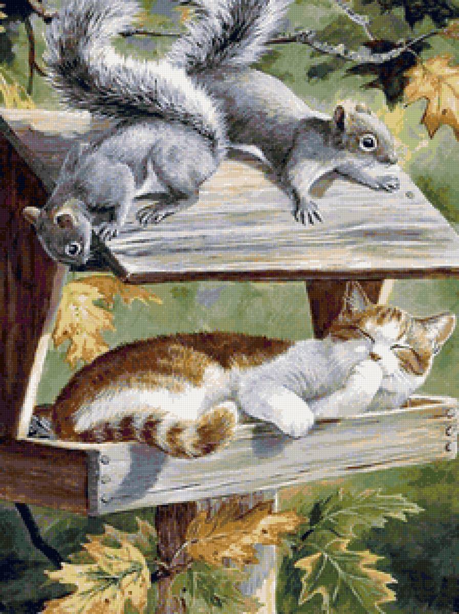 Кот-аккупант - коты, животные, кормушка, кошки, белки - предпросмотр