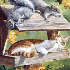 Схема вышивки «Кот-аккупант»