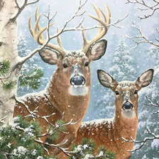 Схема вышивки «№2078989»