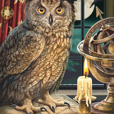 Схема вышивки «Учёная сова»