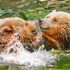 Схема вышивки «№2079072»