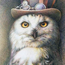 Сова в шляпе