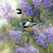 Схема вышивки «Синички на сирени»