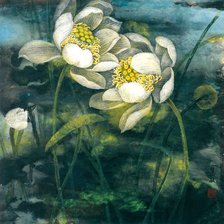 Схема вышивки «№2079293»