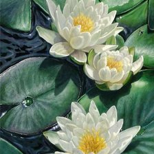 Схема вышивки «№2079302»