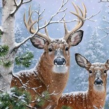 Схема вышивки «дикие»