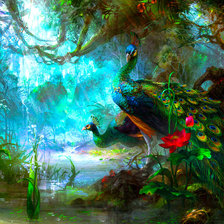 павлины в лесу