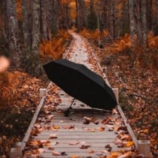 Схема вышивки «дорога»