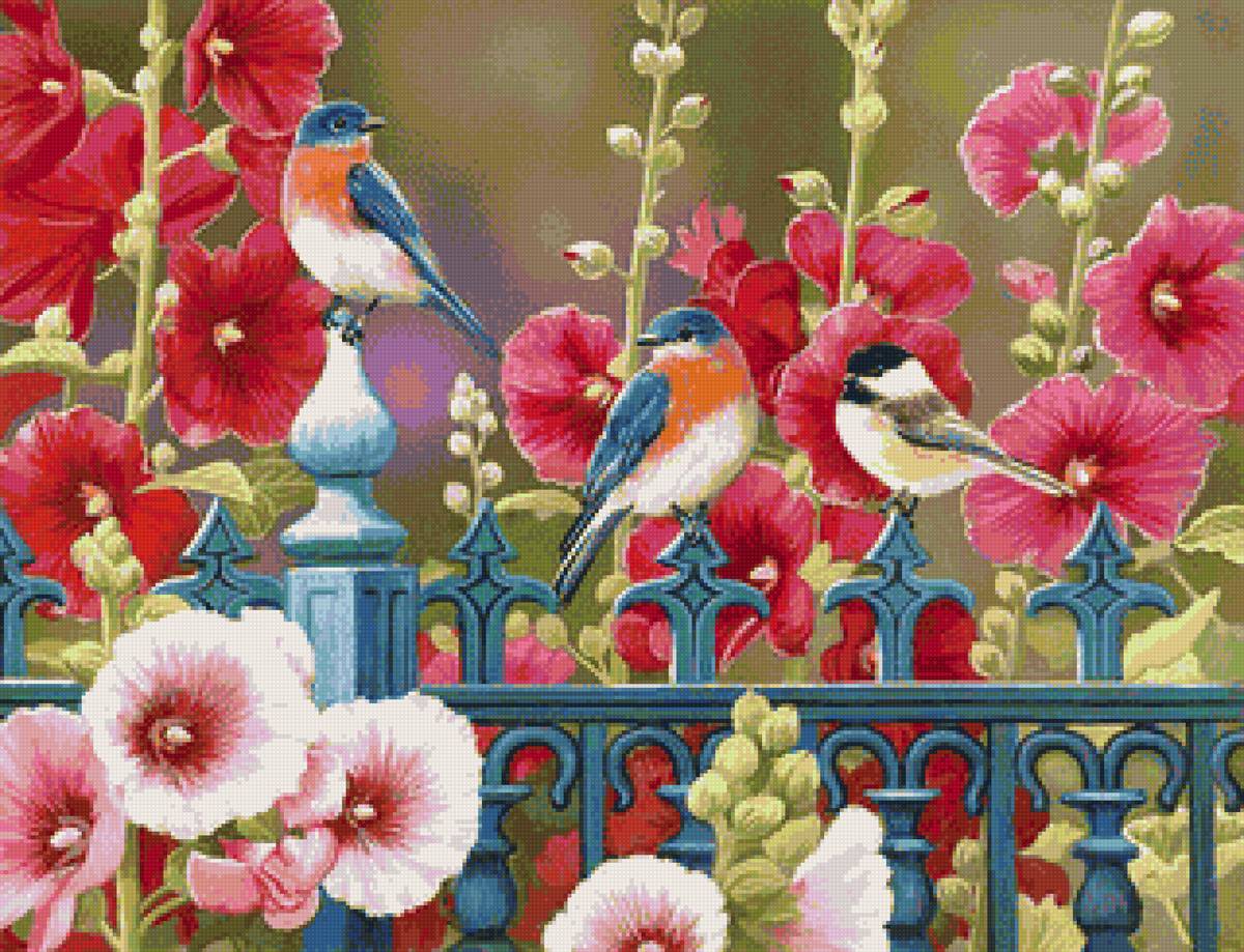 Птички в мальвах - цветы, лето, птички, мальвы - предпросмотр