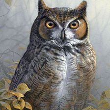 Схема вышивки «птицы»