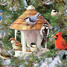 Схема вышивки «Яркие птички»