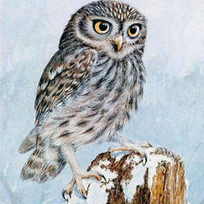 Схема вышивки «Совёнок»