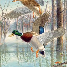 Схема вышивки «№2079881»