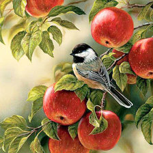 Схема вышивки «Яблочки и синичка»