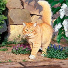 Схема вышивки «Серия "Коты".»