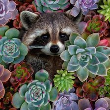 Схема вышивки «№2080171»