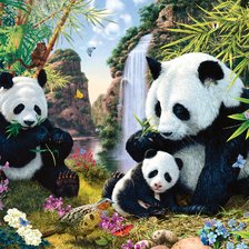 Схема вышивки «черно-белая семья»