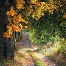 Схема вышивки «лес»