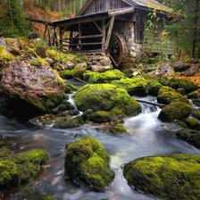 Схема вышивки «Летний лес»