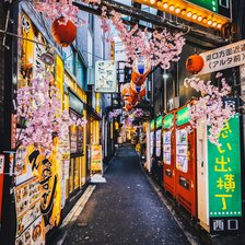 Схема вышивки «Япония»