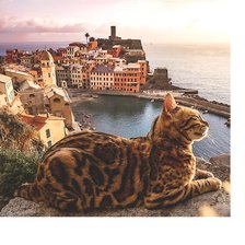 Схема вышивки «№2080546»