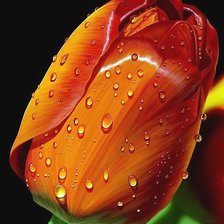 Схема вышивки «№2080565»