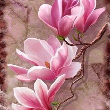 Схема вышивки «ORQUIDEAS TERNUTA»