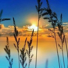 Схема вышивки «Тишина»