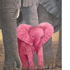 Схема вышивки «№2081312»