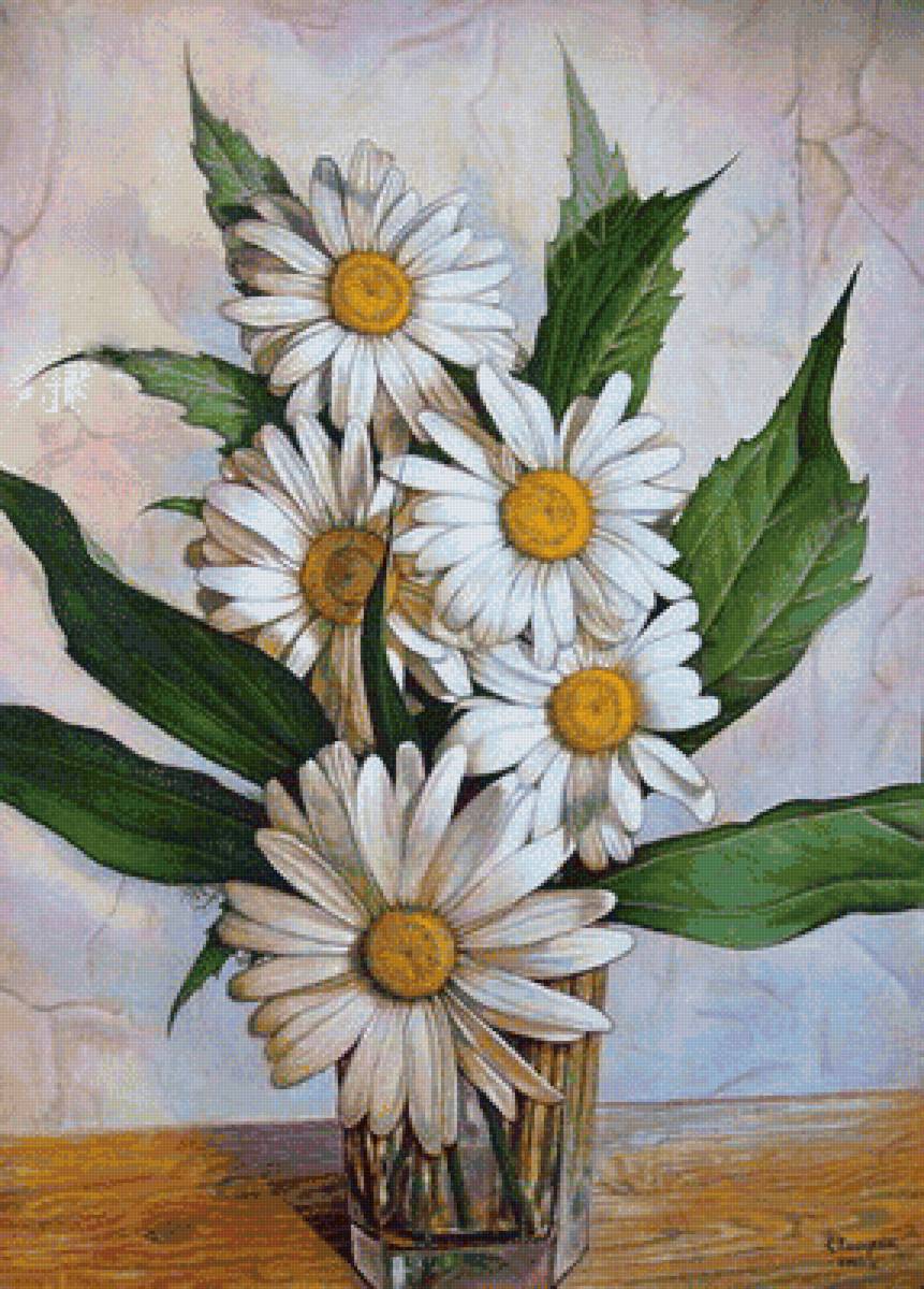 Ромашки - ромашки, цветы, полевые цветы - предпросмотр