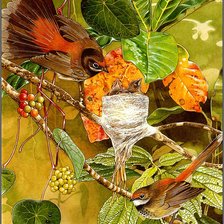 Схема вышивки «Птицы»