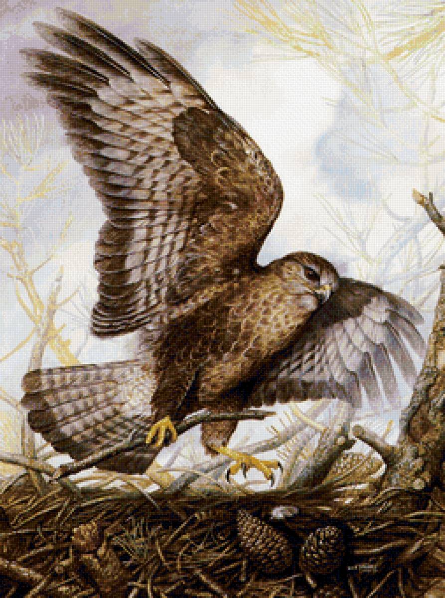 Уютное гнездышко - предпросмотр