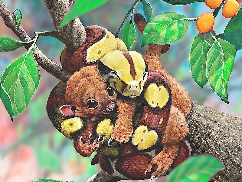 друзья - оригинал