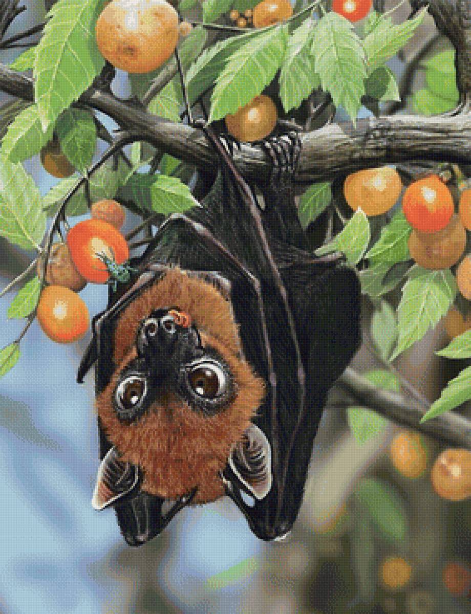 ягоды - предпросмотр