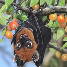 Схема вышивки «ягоды»