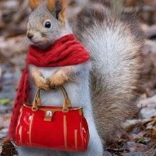 Схема вышивки «Белка с сумочкой»