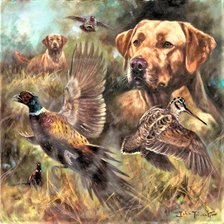 Схема вышивки «№2082020»