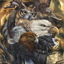 Схема вышивки «птицы»