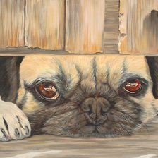 Схема вышивки «жду хозяина»