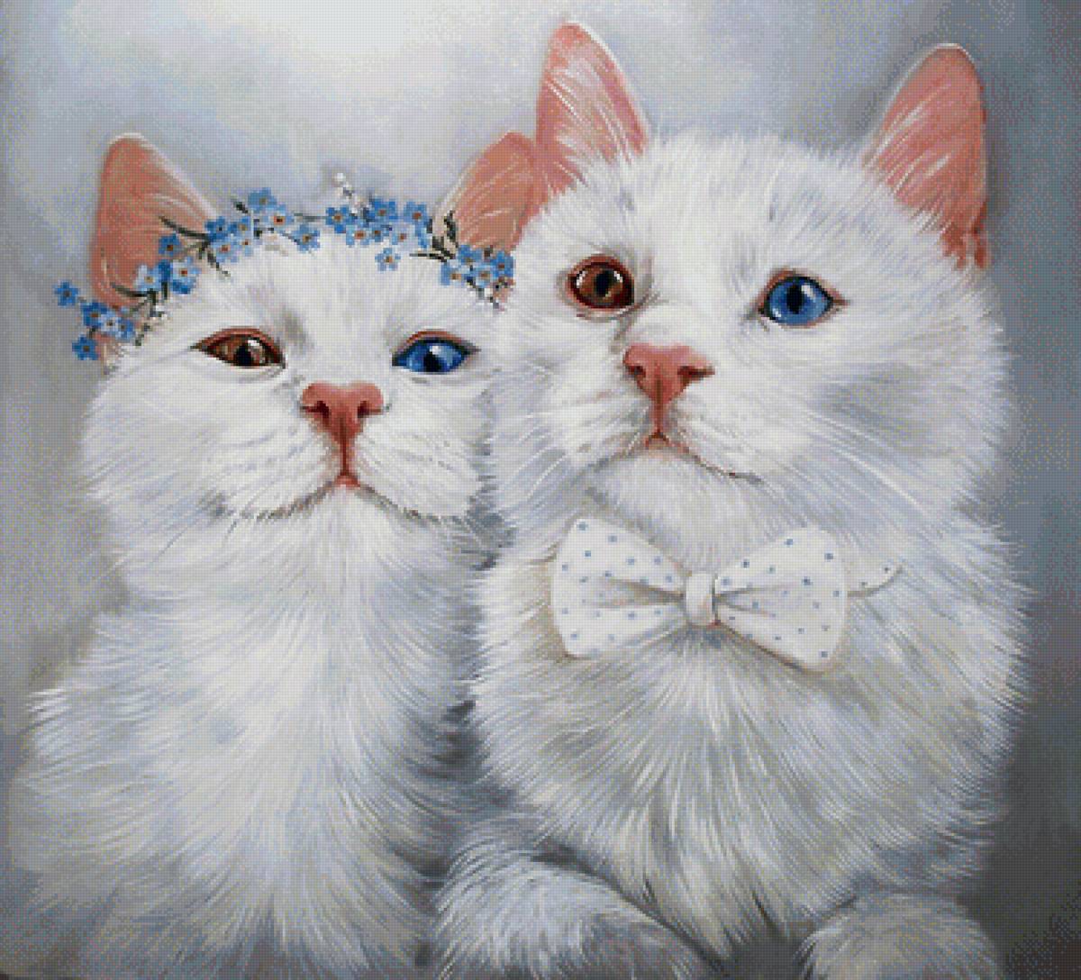 семейный портрет - кошка, кот - предпросмотр