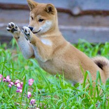 Схема вышивки «Глория 1»