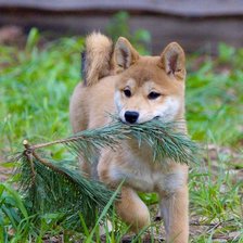 Схема вышивки «Глория 2»