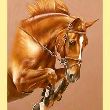 Схема вышивки «Серия "Кони"»