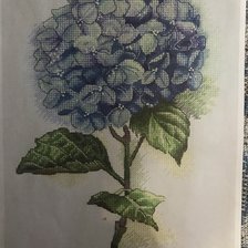 Схема вышивки «Гортензия»